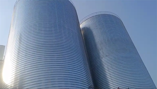 潢川2座混凝土高架卷板仓